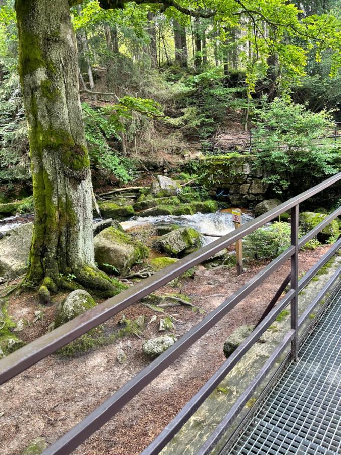 Dom Gorski Do Wynajecia 3 Km Od Karpacza Sudecka 100 Miłków Exteriör bild