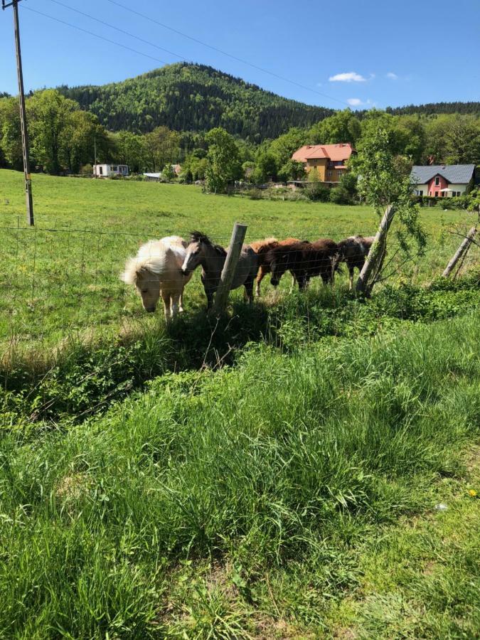 Dom Gorski Do Wynajecia 3 Km Od Karpacza Sudecka 100 Miłków Exteriör bild